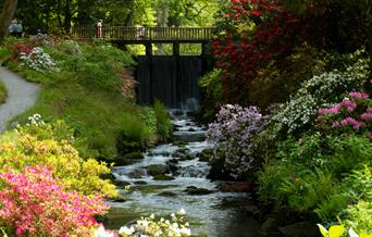 Waterfall Bridge, The Dell, Bodnant Garden