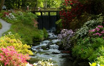 Pont y Rhaeadr, The Dell, Gardd Bodnant