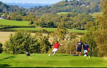 Silver Birch footgolf