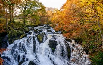 Golygfa o ben y Rhaeadr Ewynnol