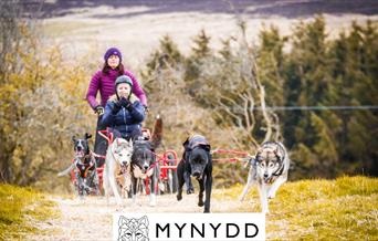 Cŵn a throl Mynydd Sleddog gyda ddynes a hogyn