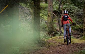 Cyclist in the woods