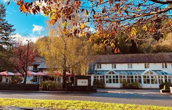 Waterloo Hotel and Lodge