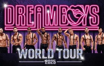 Dreamboys 2025 World Tour at Venue Cymru