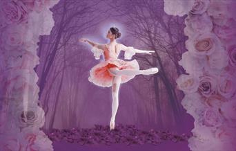 Sleeping Beauty at Venue Cymru