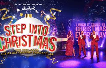 Step into Christmas at Venue Cymru