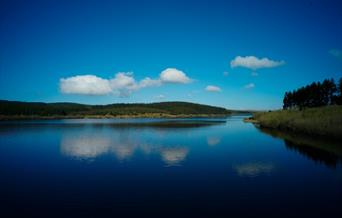 Alwen Reservoir, Cerrigydrudion