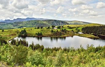 Llyn Glangors gyda golygfa o Barc Coedwig Gwydir