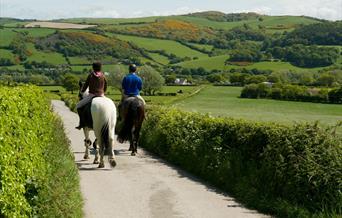 Two people riding horses on country lane