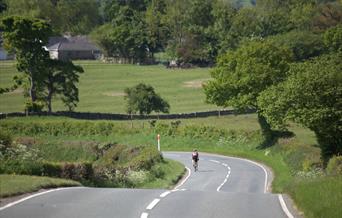 Cyclist on a country road