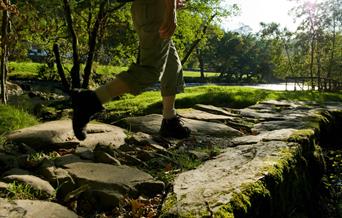 Person walking on riverside path