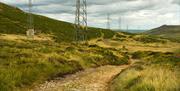 Countryside landscape with telegraph lines running across