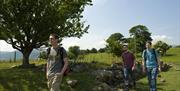 Walking in Conwy Valley