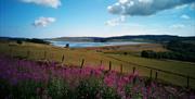 Flowers, lake and countryside at Cerrigydrudion