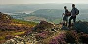 Walking on Conwy Mountain, looking towards the town of Conwy