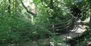 Walkway through Fairy Glen