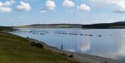 Men fishing on the shore of Llyn Brenig