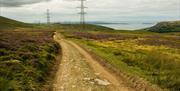 Section of Roman Road overlooking Anglesey and Puffin Island