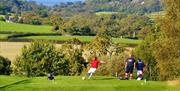 Silver Birch footgolf