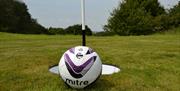 Silver Birch footgolf