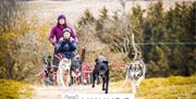 Mynydd Sleddog dogs and cart with woman and boy