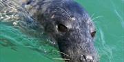 Aqua Tours Conwy
