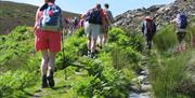 Wales Coast Path upland area