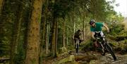 Mountain biker