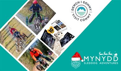 Mynydd Sleddog Chrstmas