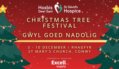 St David's Hospice Christmas Tree Festival