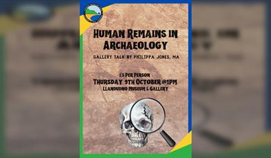 Human Remains in Archaeology - Gallery Talk