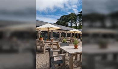 Christmas Canaps Culinary Experience