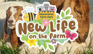 New Life on The Farm