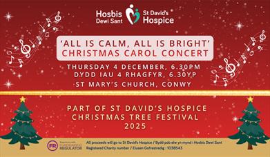 St David's Hospice Carol Concert