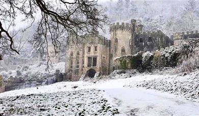 Gwrych Castle's Christmas Adventure