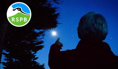 Bat Walk at RSPB Conwy