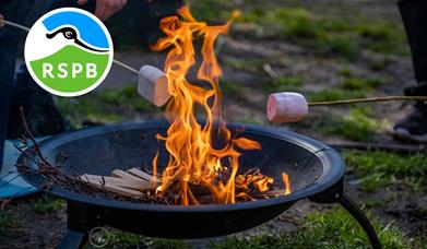 Christmas Campfires! (3-8 years) at RSPB Conwy