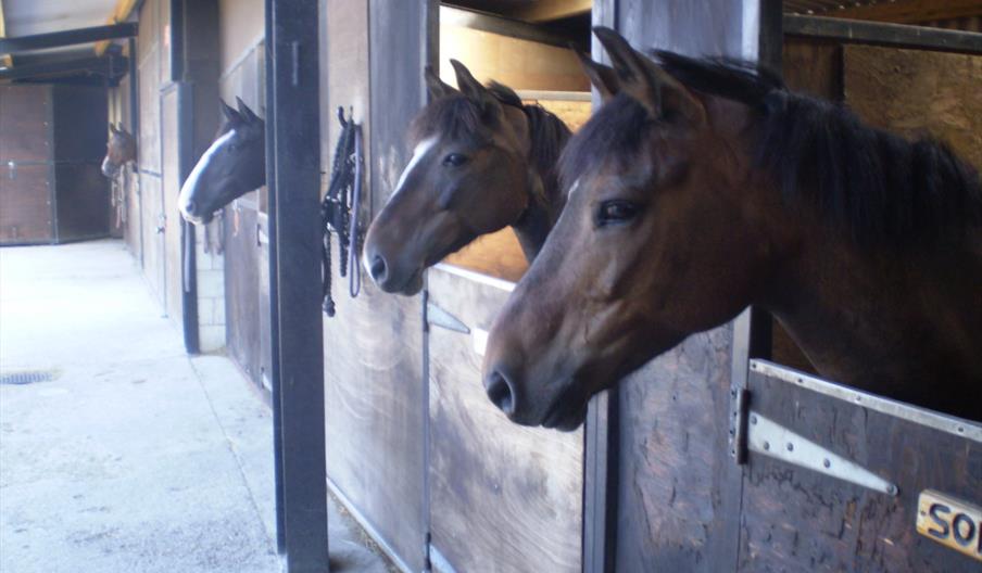 Aberconwy Equestrian Centre