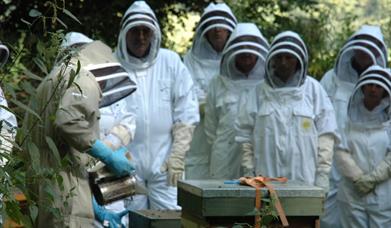 National Beekeeping Centre Wales