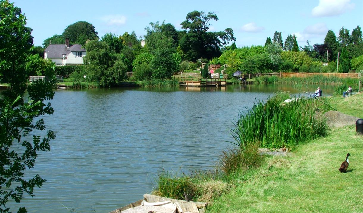 Fishing lake at Conwy Water Gardens