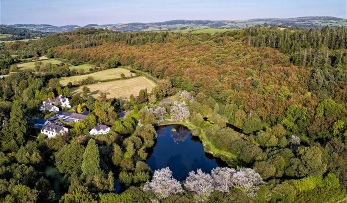 Golygfa aeriel o'r llyn pysgota