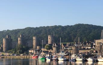 Image of Conwy Castle and the harbour