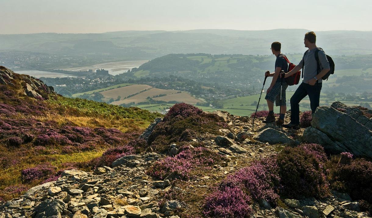 Walking on Conwy Mountain, looking towards the town of Conwy.