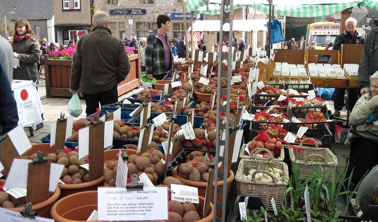 Stall at Conwy Seed Fair