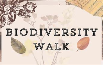 Biodiversity Walk, Llandudno