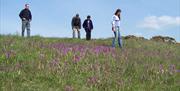 Family walking through field of purple flowers
