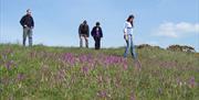 Family walking through field of purple flowers