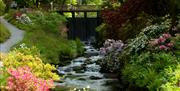 Waterfall Bridge, The Dell, Bodnant Garden