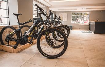 Image of a row of bikes in the store