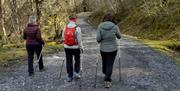Walkers from Snowdonia Nordic Walking